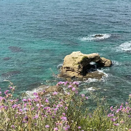 Bed & Breakfast La Del Re