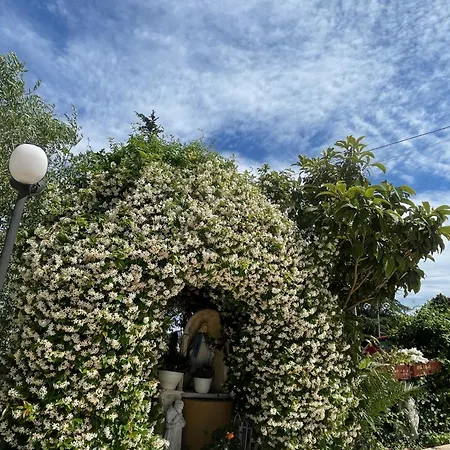 La Del Re Villalfonsina