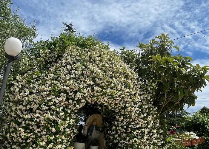 La Del Re Villalfonsina